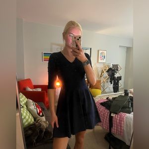 Diane Von Furstenberg Skater Dress